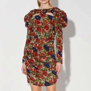 Walter Baker Royal Garden Verlee Ruched Mini Dress Multiple Sizes NWT!